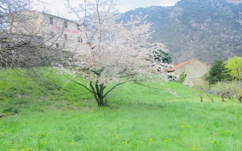La Pommeraie Casteil 외부 사진